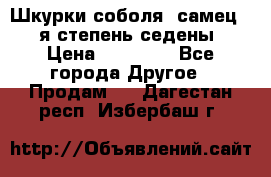 Шкурки соболя (самец) 1-я степень седены › Цена ­ 12 000 - Все города Другое » Продам   . Дагестан респ.,Избербаш г.